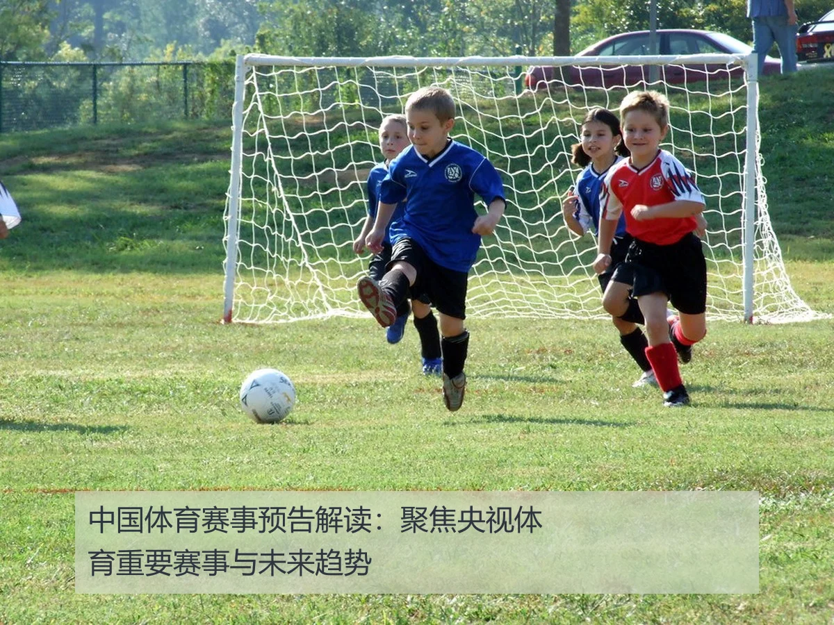 中国体育赛事预告解读:聚焦央视体育重要赛事与未来趋势